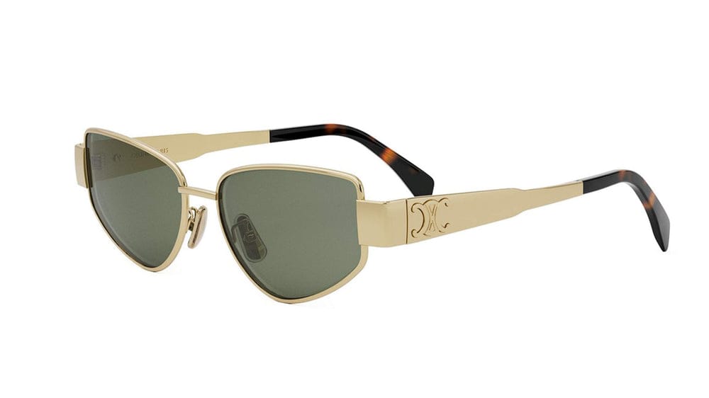 CELINE - CL40293U 30N