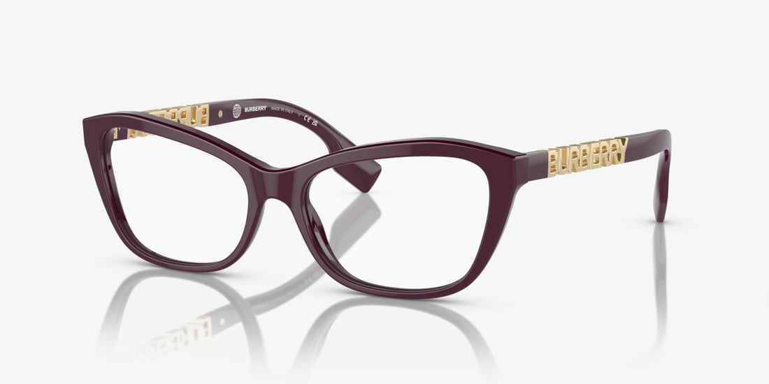 BURBERRY - B2392 3979