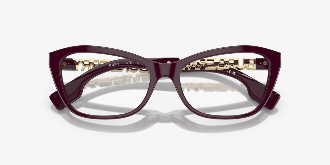 BURBERRY - B2392 3979