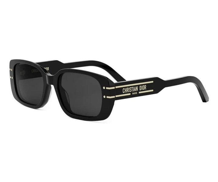 CHRISTIAN DIOR - DIORSIGNATURE S12I 10A0