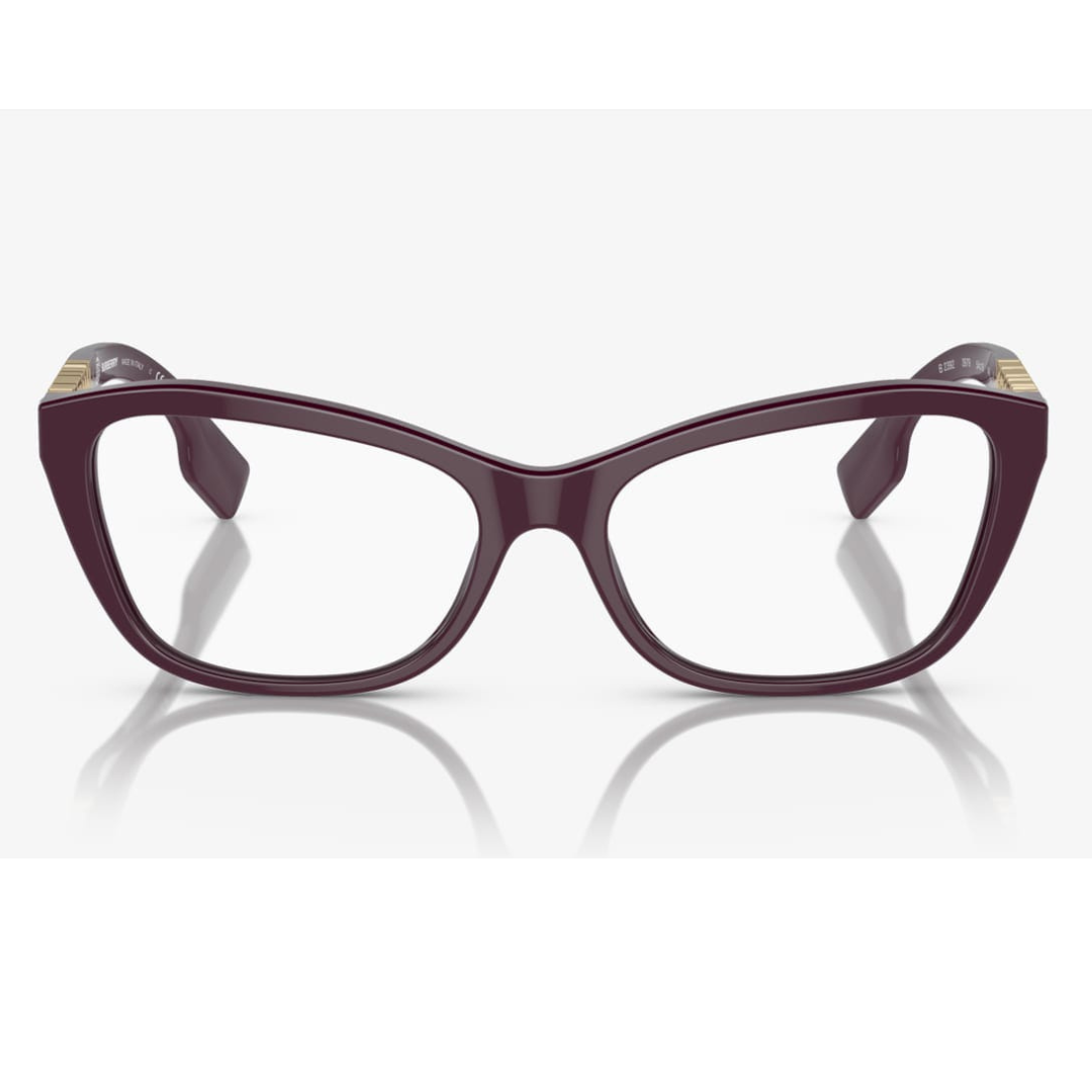 BURBERRY - B2392 3979